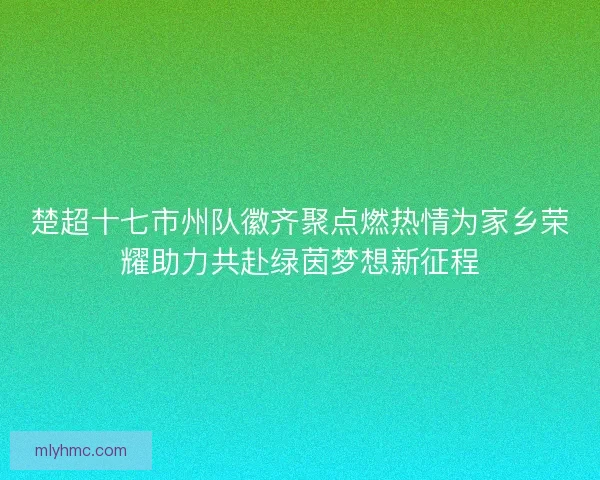 楚超十七市州队徽齐聚点燃热情为家乡荣耀助力共赴绿茵梦想新征程