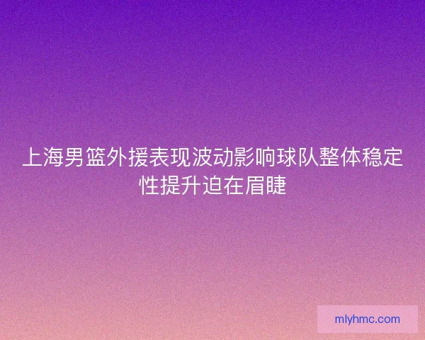 上海男篮外援表现波动影响球队整体稳定性提升迫在眉睫 上海男篮外援表现波动影响球队整体稳定性提升迫在眉睫
