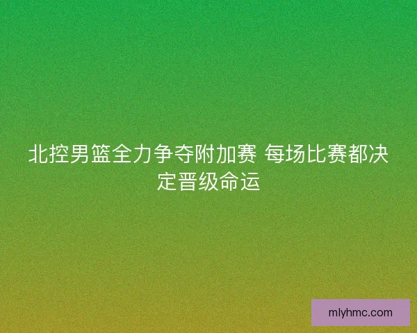 北控男篮全力争夺附加赛 每场比赛都决定晋级命运