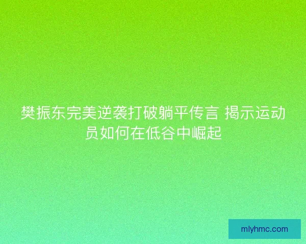 樊振东完美逆袭打破躺平传言 揭示运动员如何在低谷中崛起