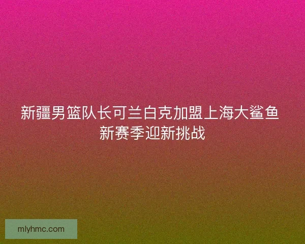 新疆男篮队长可兰白克加盟上海大鲨鱼 新赛季迎新挑战